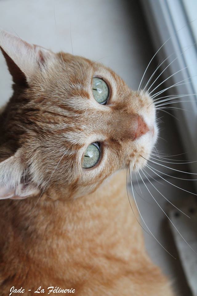 Jane