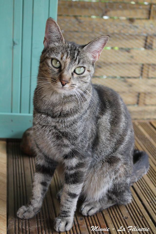Minnie