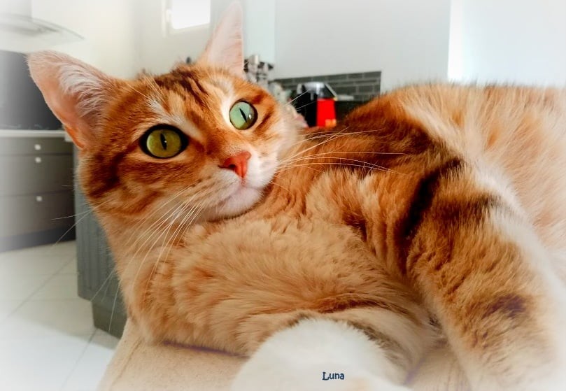 Luna