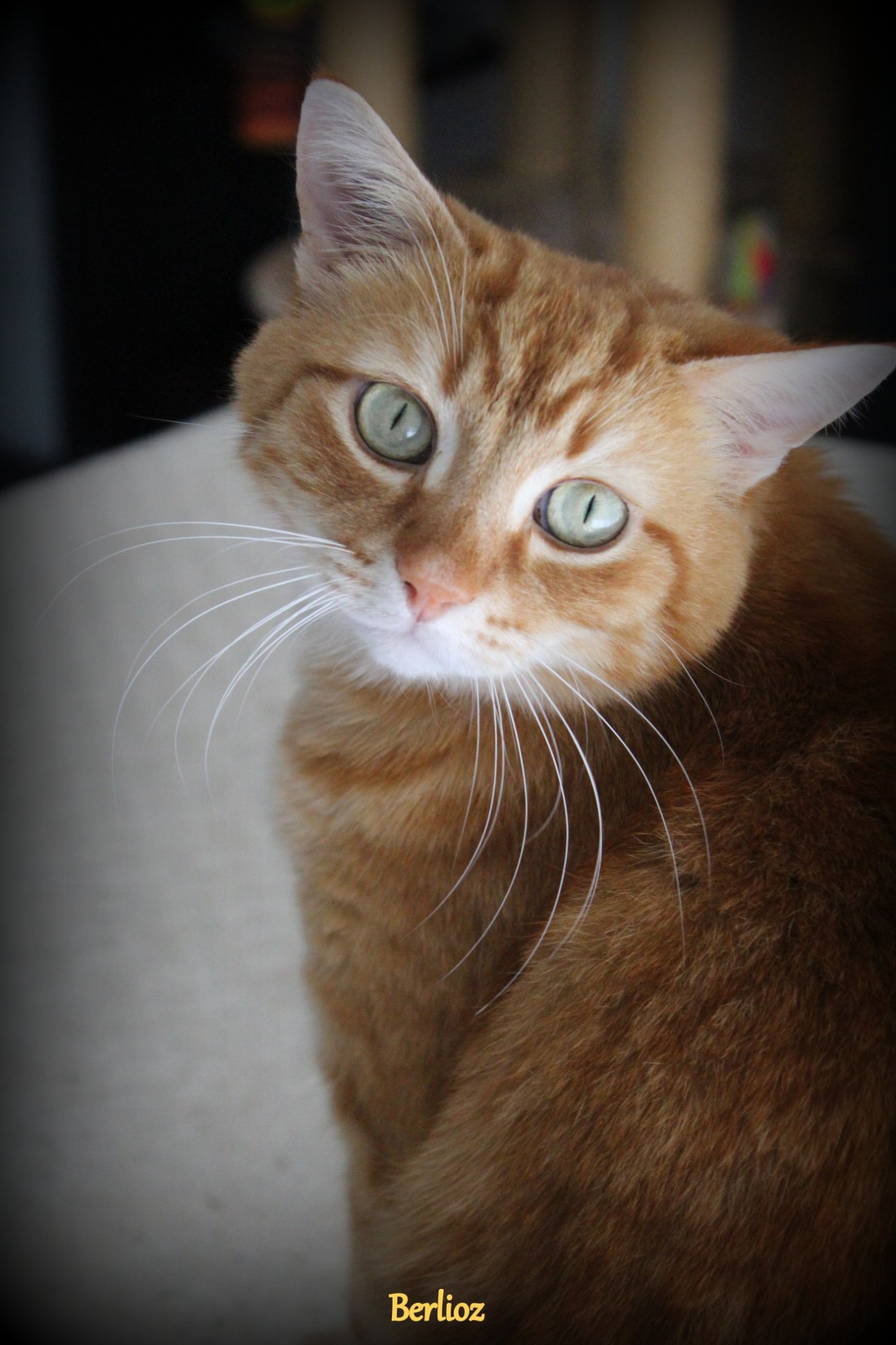Berlioz