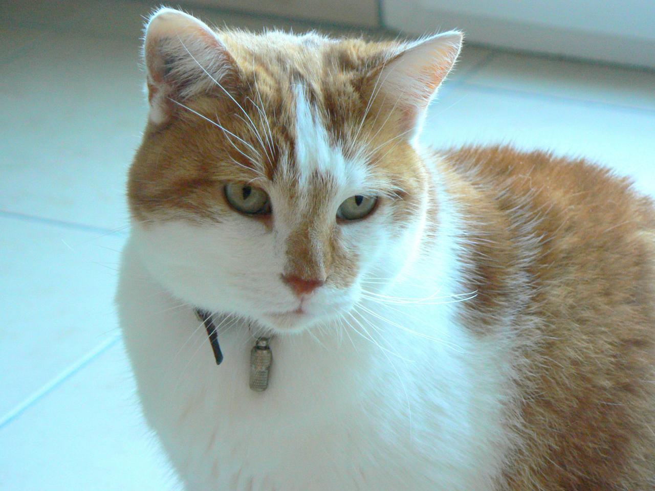 Vasco